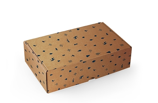 CB-4 - Corrugated Boxes 21x15x17 cms