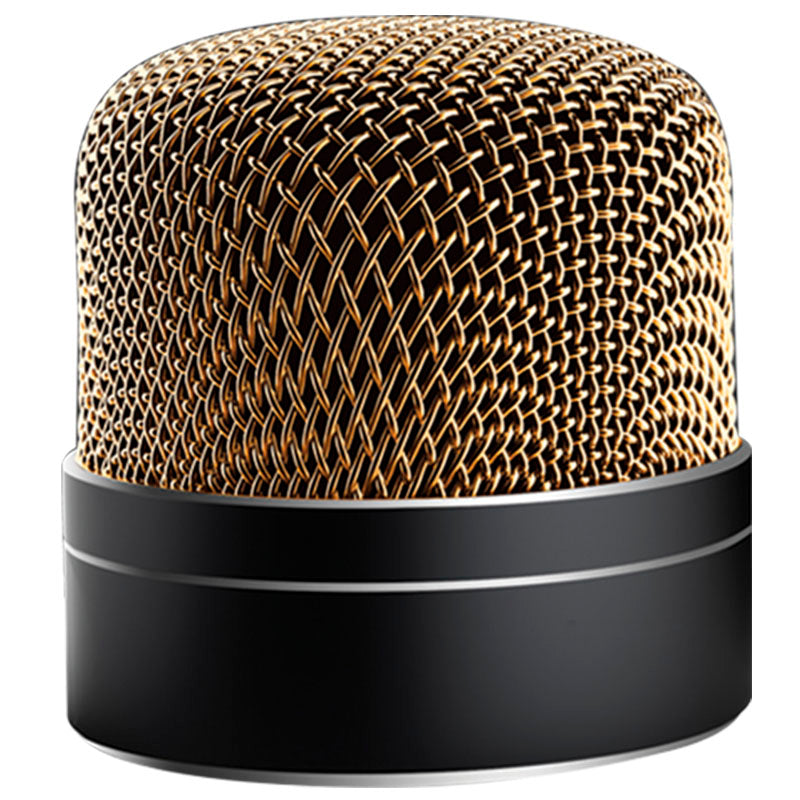 Silver Mic Wireless Speaker