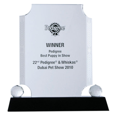 Rectangle Glass Award