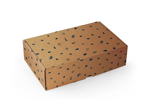 CB-2 - Corrugated Boxes 23x14x8 cms